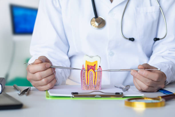 Best Urgent Tooth Repair  in Simpsonville, SC